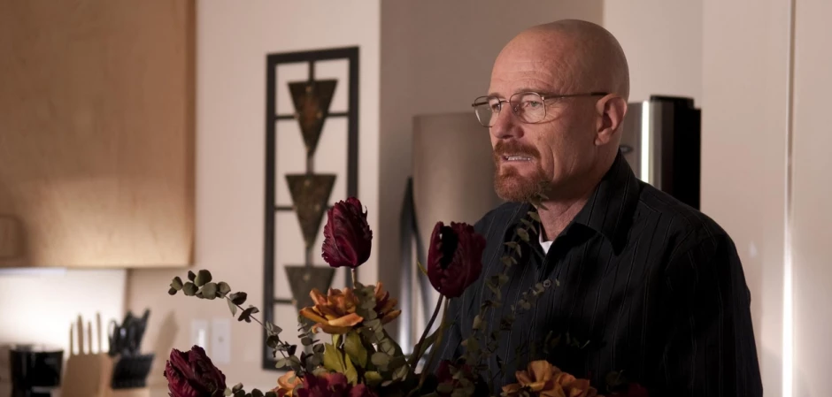 Во все тяжкие 3 сезон 7 серия - кадры к серии