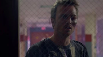 Во все тяжкие 3 сезон 8 серия