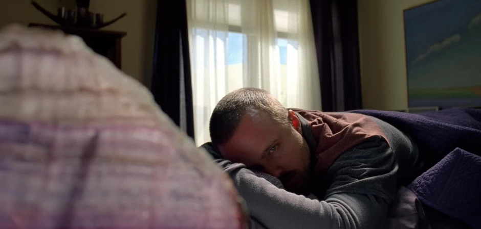 Во все тяжкие 5 сезон 12 серия - кадры к серии