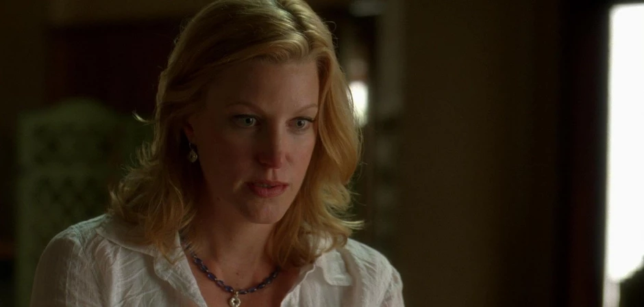 Во все тяжкие 3 сезон 3 серия - кадры к серии