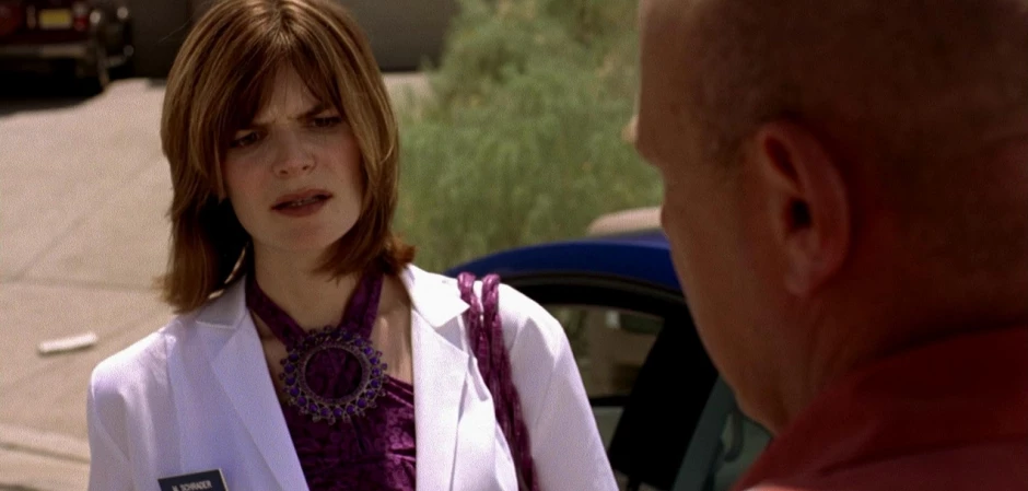 Во все тяжкие 2 сезон 1 серия - кадры к серии